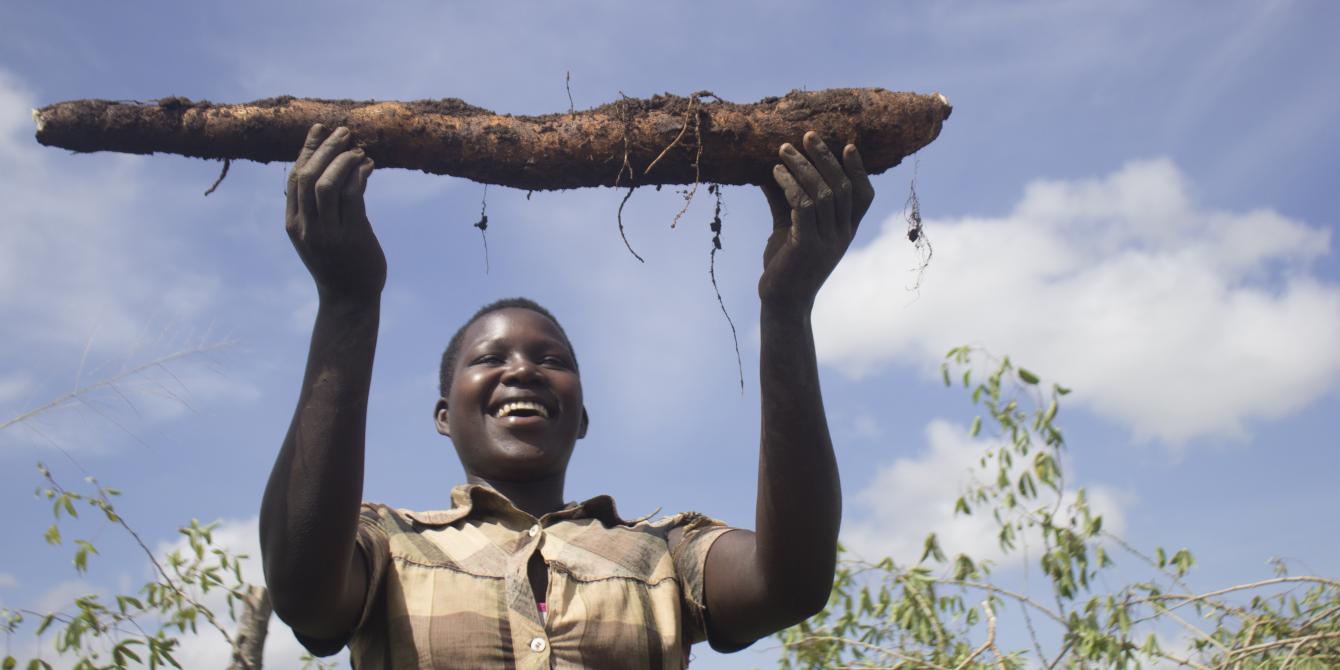 Atimango Sharon raises a cassava stem tuber harvested from the joint farmers group garden. Photo credit: Oxfam Atimango Sharon raises a cassava stem tuber harvested from the joint farmers group garden. Photo credit: Oxfam